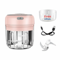 Electric 300ML Garlic Press Chopper Chili Onion Fruits Meat Mincer Blender Mixer