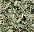 Jamaican Guinea Hen Weed (Anamu) | Immune Support & Traditional Healing
