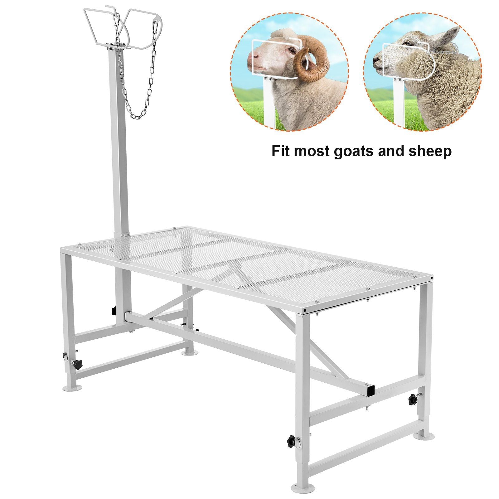 Goat & Sheep Stand, 51x23 inch Livestock Stand, Metal Livestock Milking and Shearing Stand 21" to 33" Adjustable Height, with Headpiece and Nose Loop, 500lbs Loading Weight, White